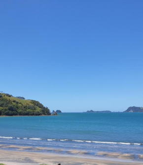 Beachsider Whitianga